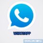 كل ماتريد معرفته حول نسخ واتساب 2024 Whatsapp أحدث اصدار