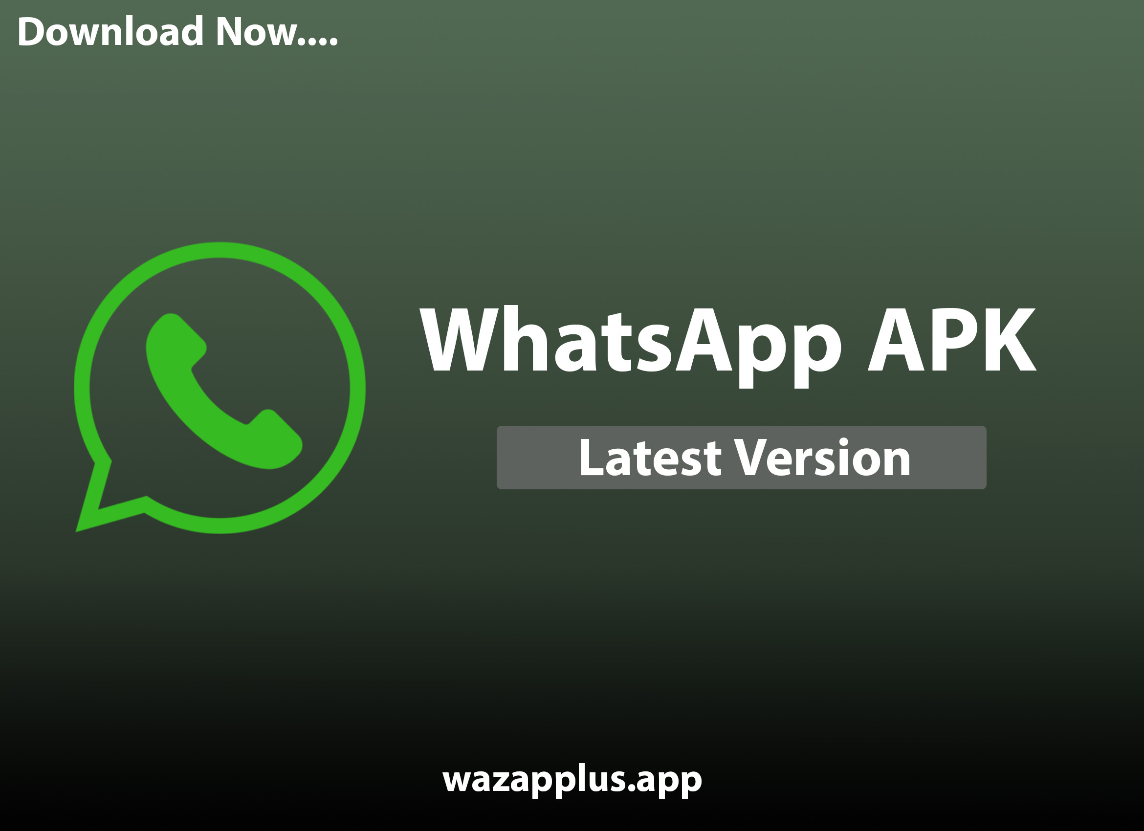 تحميل تطبيق WhatsApp 2024